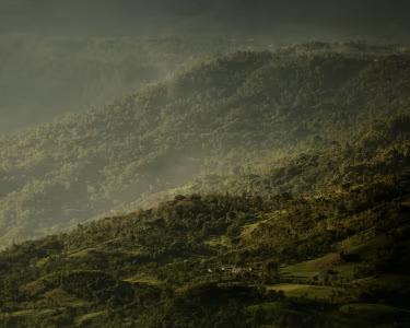Sustainable banner